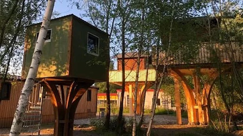 Baumhaus - Tiny Haus in der Höhe