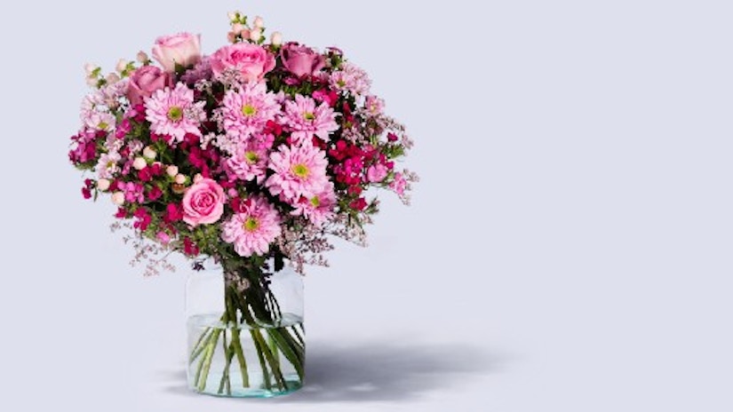 Traumhaft Pink