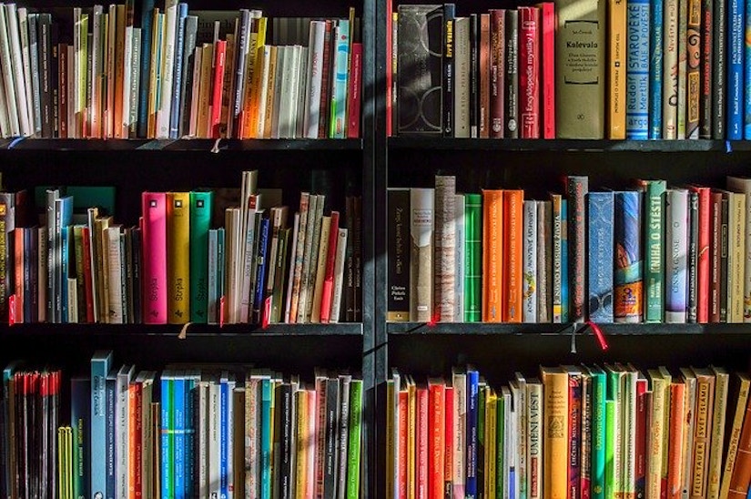 Bunte Buchrücken in einem Bücherregal.