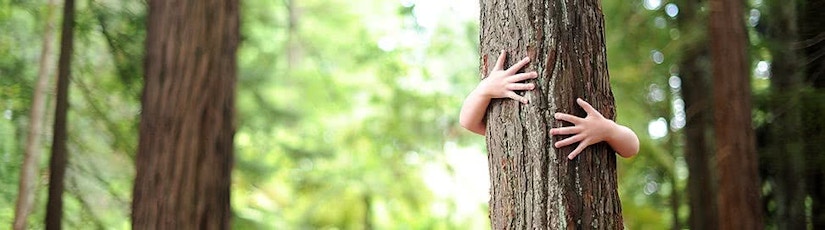 Mensch umarmt Baum