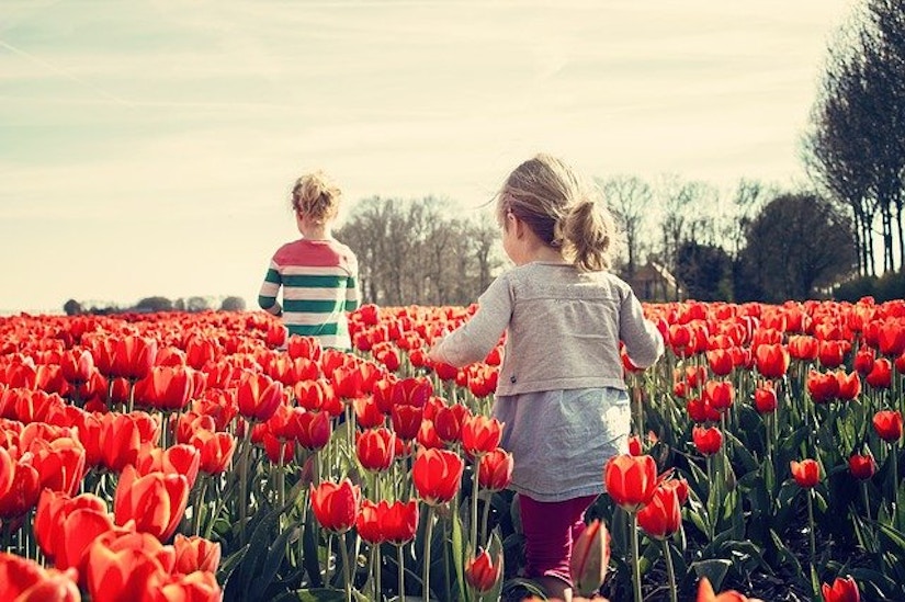 10€ BaldurGarten Gutschein & 4€ Rabatt im Januar 2022