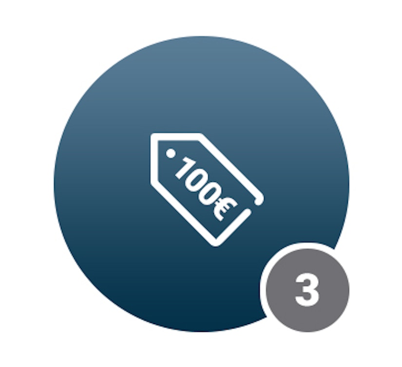 Grauer Kreis mit 100€-Symbol