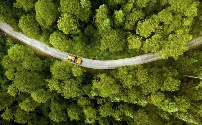 Auto fährt auf einer einsamen Straße im Wald